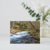 サクラメント川 ポストカード (スタンド正面)