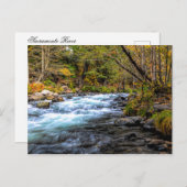 サクラメント川 ポストカード (正面/裏面)