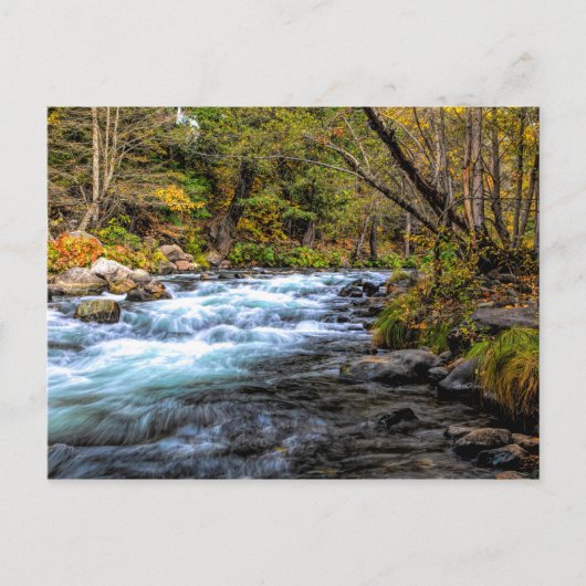 サクラメント川 ポストカード (正面)