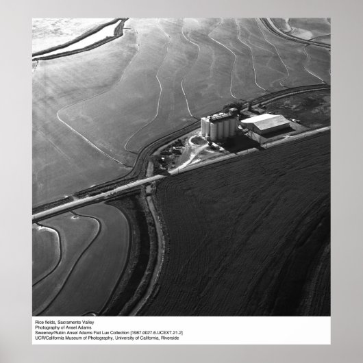 サクラメント・バレーの田んぼのby Ansel Adams ポスター (正面)