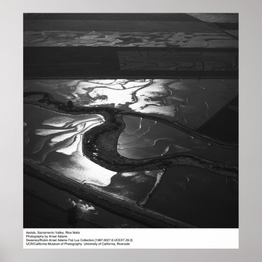 サクラメント・バレーの眺めby Ansel Adams ポスター (正面)