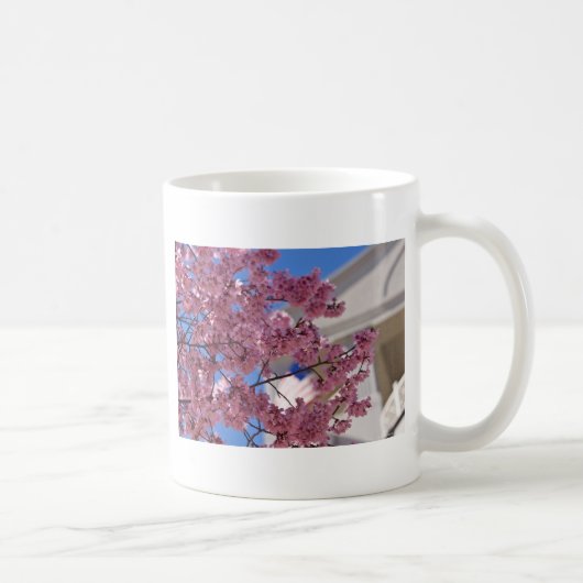 サクラ アメリカーナ コーヒーマグカップ (右)