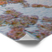 サクラ ポスター (角)