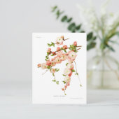 サクラ ポストカード (スタンド正面)