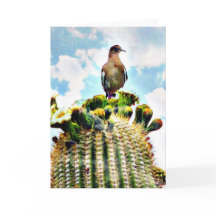 サグアロのちょうどsitting