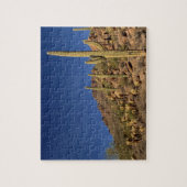 サグアロのサボテンおよびチューソン山、チューソン ジグソーパズル (縦)