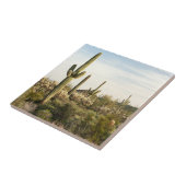 サグアロのサボテン、アリゾナ、米国 タイル (側面)