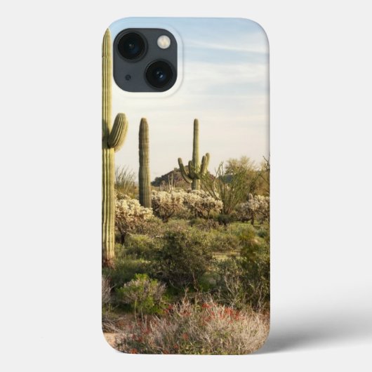 サグアロのサボテン、アリゾナ、米国 Case-Mate iPhoneケース (裏面)