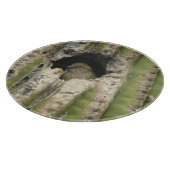 サグアロの巣の鳥 カッティングボード (角)