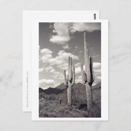 サグアロカクタスソノラデザートB&Wフォトポストカード ポストカード (正面/裏面)