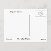 サグアロサクタス ポストカード (裏面)