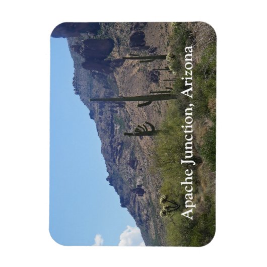 サグアロスと山 マグネット (縦)