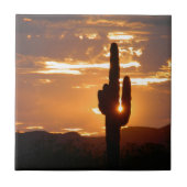 サグアロ光線 タイル (正面)