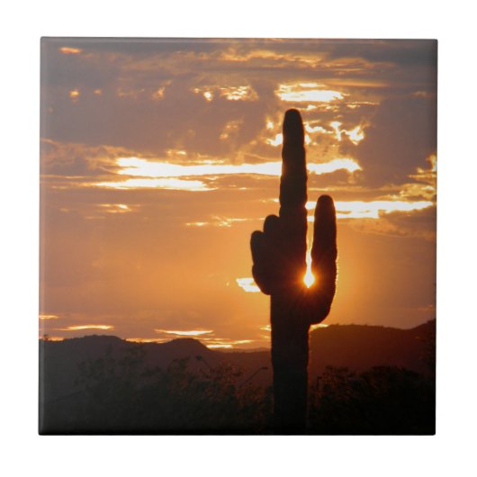 サグアロ光線 タイル (正面)