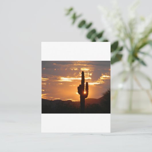 サグアロ光線 ポストカード (スタンド正面)