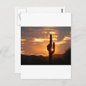 サグアロ光線 ポストカード (正面/裏面)