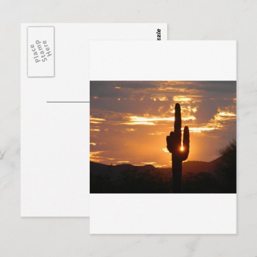 サグアロ光線 ポストカード (正面/裏面)
