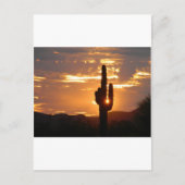 サグアロ光線 ポストカード (正面)