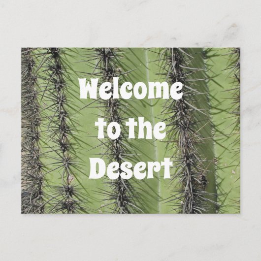 サグアロ カクタス 砂漠の写真 不動産 感謝 ポストカード (正面)