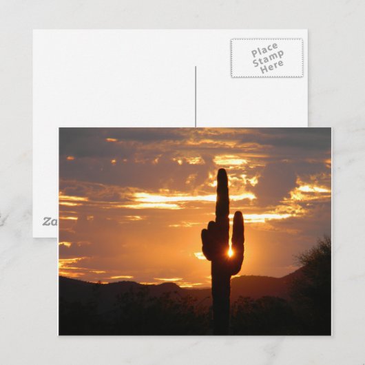 サグアロ・レイ ポストカード (正面/裏面)
