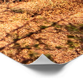 サグアーロのサボテンと砂漠 ポスター (角)