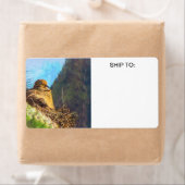 サグアーロカボスネストと喪に服すベビーハトの女性 ラベル (インサイチュ)