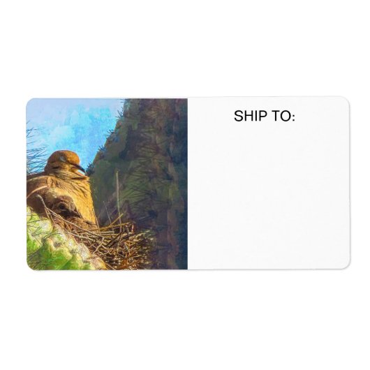 サグアーロカボスネストと喪に服すベビーハトの女性 ラベル (正面)