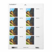 サグアーロカボスネストと喪に服すベビーハトの女性 ラベル (フルシート)