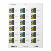 サグアーロカボスネストと喪に服すベビーハトの女性 ラベル (フルシート)