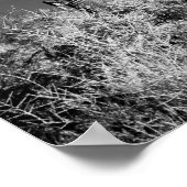 サグアーロサボス ポスター (角)