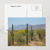 サグアーロサボス ポストカード (正面/裏面)