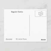 サグアーロサボス ポストカード (裏面)