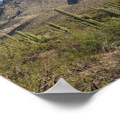 サグアーロサボテンとカタリナ山脈,ツーソンAZ ポスター (角)