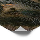 サグアーロサボテンとソノラン砂漠サンセットアリゾナ ポスター (角)