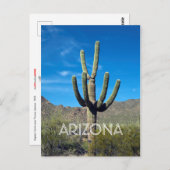 サグアーロサボテン葉書 ポストカード (正面/裏面)