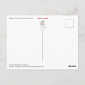 サグアーロサボテン葉書 ポストカード (裏面)