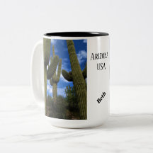 サグアーロサボトリオ/ブルースカイ&クラウド/アリゾナ