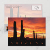サグアーロスが夕日に影を落とすAZ ポストカード (正面/裏面)