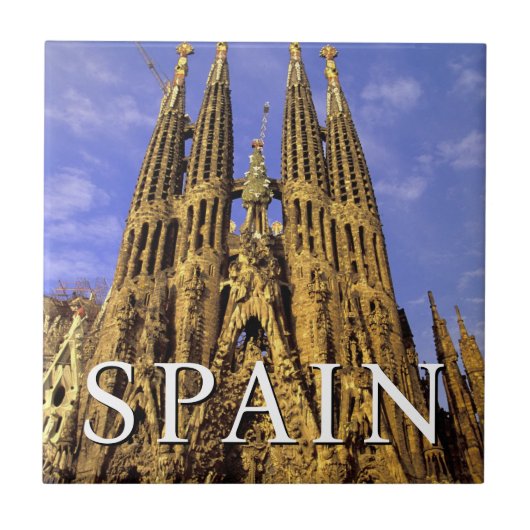 サグラダファミリア |バルセロナ（スペイン） タイル (正面)