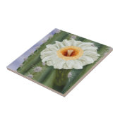 サグ図解入りの、写真付きのアロサボテン白花 タイル (側面)