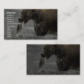 サケで食べ物を与えているヒグマ 名刺 (正面/裏面)