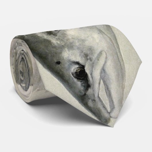 サケのタイ ネクタイ (ロール)