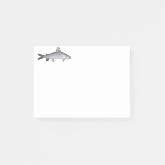 サケのナマズ ポストイット (正面)