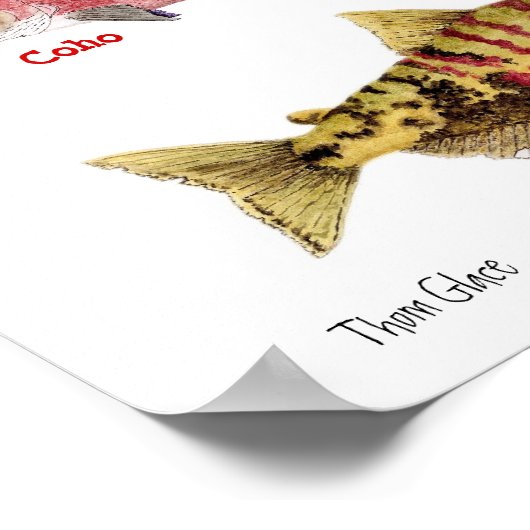 サケの色 ポスター (角)