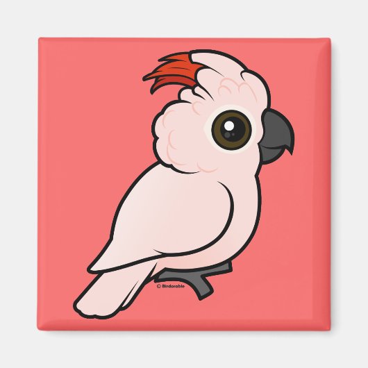 サケの鳥冠 マグネット (正面)