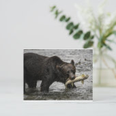 サケを口にくわえたクマ ポストカード (スタンド正面)