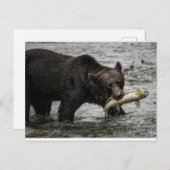 サケを口にくわえたクマ ポストカード (正面/裏面)