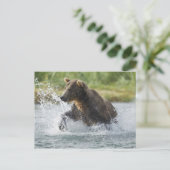 サケを川で追いかけているブラウン·ベア ポストカード (スタンド正面)