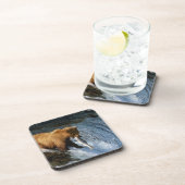 サケを捕らえるアラスカのヒグマ|過去記事 コースター (右側)