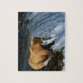 サケを捕らえるアラスカのヒグマ|過去記事 ジグソーパズル (縦)